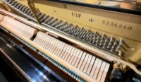 pianino prod. japońskiej YAMAHA U1F kolor czarny połysk połysk poliester z precyzyjnym mechanizmem, oryginalne, w świetnym stanie młotki młotki, Jest to młode (serial 5 mln) 1995' pianino potężnie i pięknie brzmiące o charakterystycznym dla japońskich pianin klasycznym dźwięku. Pod gwar. opieką od Piano-Rolf. Stałą opieka naszego stroiciela nad instrumentem! Stan instrumentu - używany bardzo dobry.