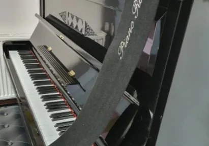 Czarne Pianino SEILER Rzeszów Podkarpackie